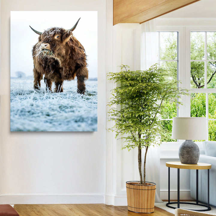 Minimalist Scottish Highlang Cow Wall Art Canvas Print for Farmhouse / County Style Art Print for Living Room - Office Decor