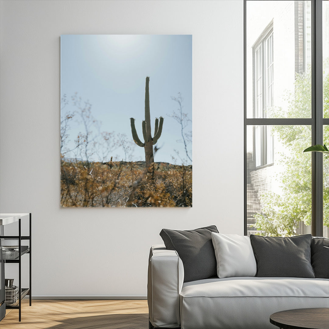 Saguaro Cactus Wall Art Canvas Print