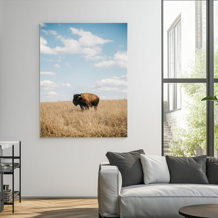 Bison Photography Wall Art Canvas Print: Framed Western Landscape Art