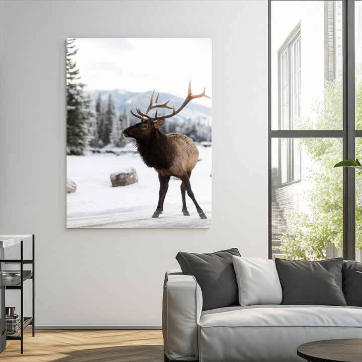 Elk Photography Wall Art Canvas Print, Framed Winter Wildlife Art Picture Print, Snowy Mountains Perfect Rustic Cabin Decor Decor Artwork