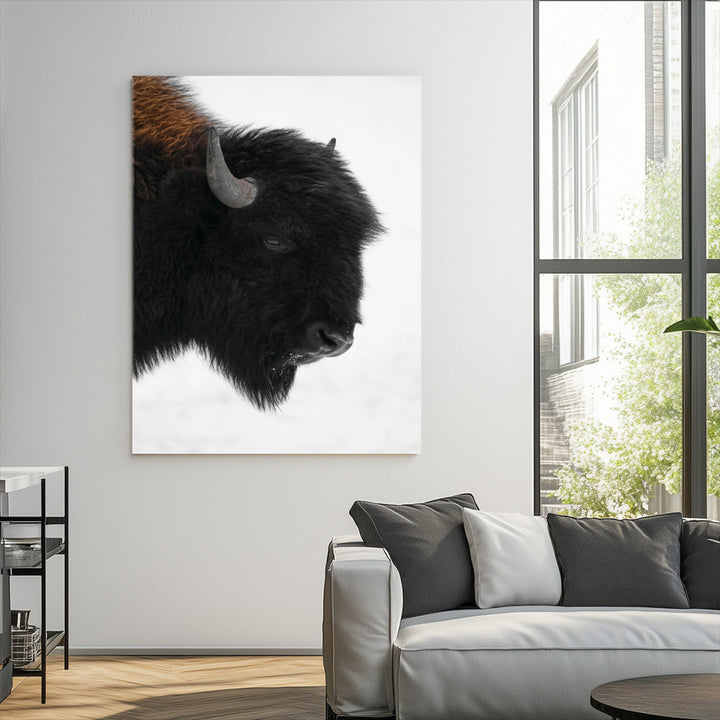 Western Rustic Wall Art Canvas Print, Framed Buffalo Photography Art Picture Print, Black and White Wildlife Perfect Modern Ranch Decor