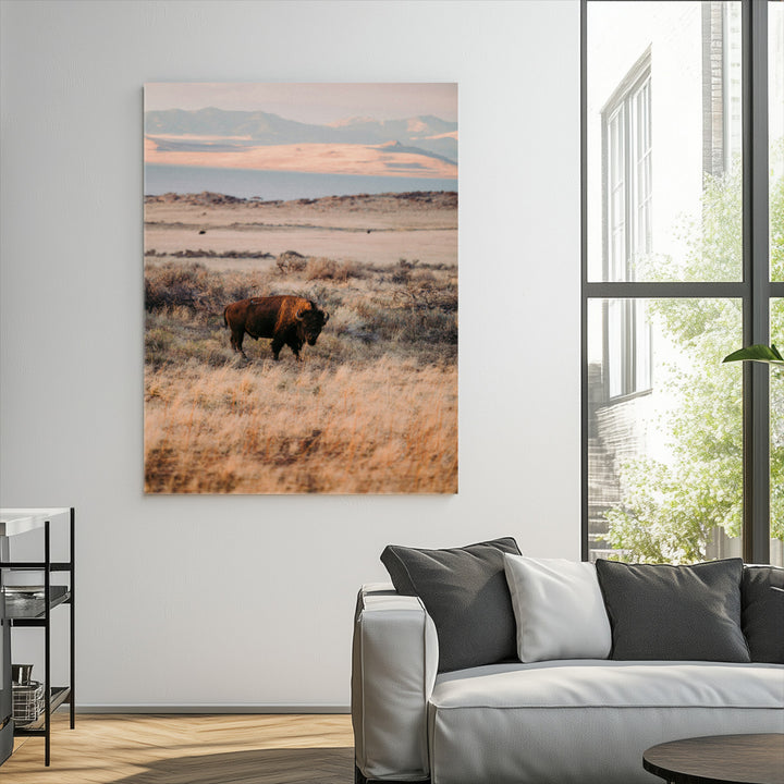 Solitary Buffalo Wall Art Canvas Print, Framed Golden Prairie Art Picture Print, Earthy Tones Perfect Rustic Western Decor Artwork