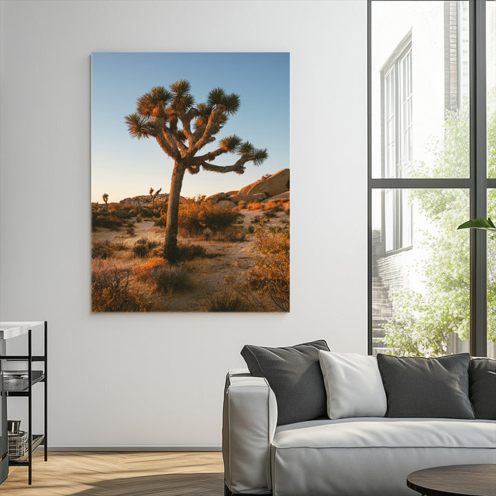 Joshua Tree Artwork Canvas Print, Desert Sunset Print, Framed Golden Hour Light Art Print, Large Southwestern Landscape Printing, Framed