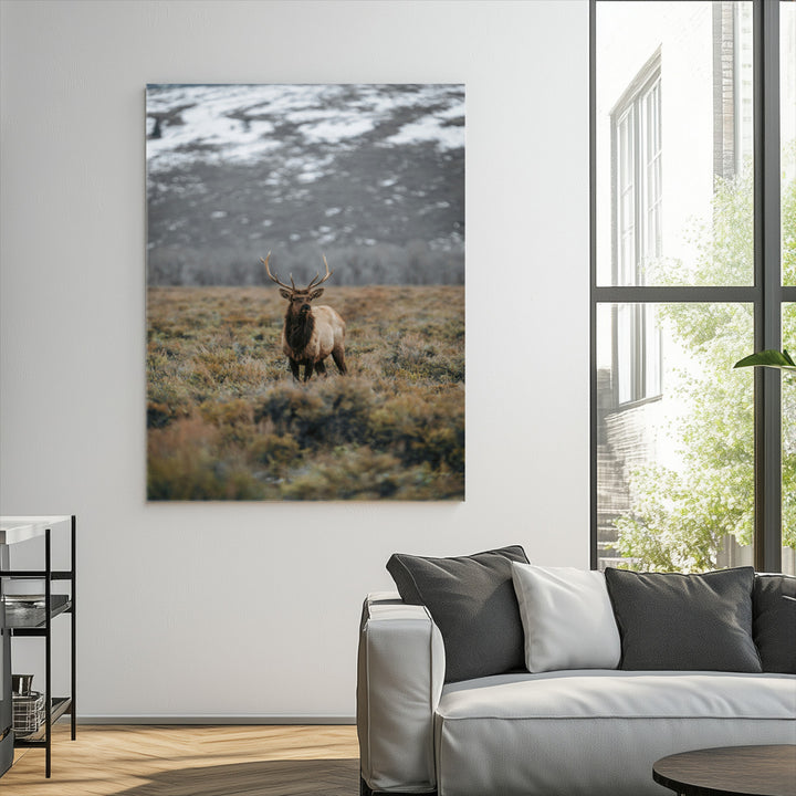 Wild Elk Wall Art Canvas Print, Mountain Wilderness Print, Framed Majestic Animal Art Print, Large Rustic Wildlife Wall Art Printing