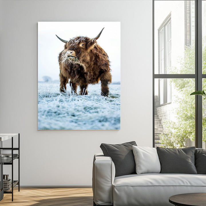 Minimalist Scottish Highlang Cow Wall Art Canvas Print for Farmhouse / County Style Art Print for Living Room - Office Decor