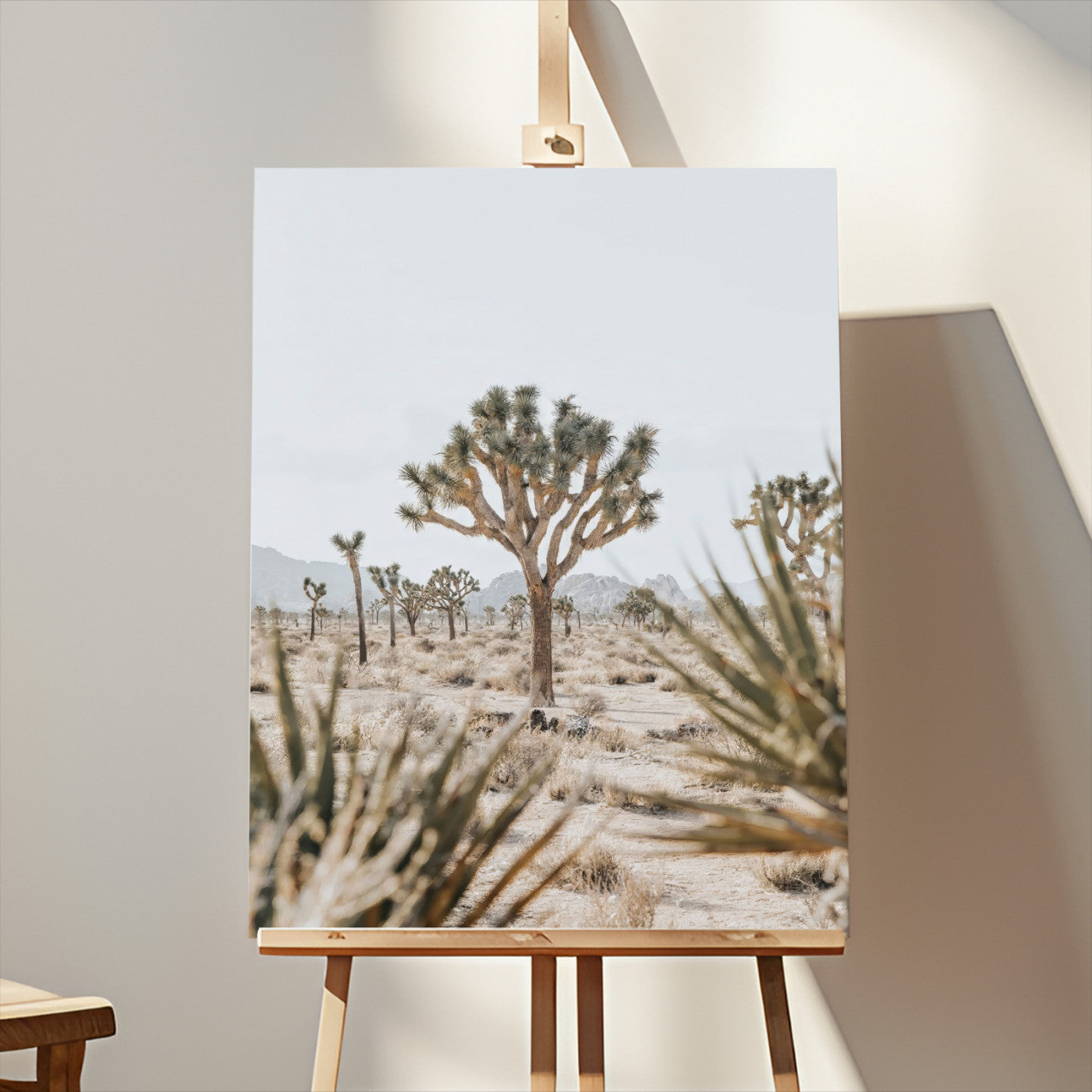 A wide desert landscape featuring multiple Joshua trees with spiky leaves and twisted branches, set against a pale sky and distant rocky hills. The foreground has blurred desert shrubs, emphasizing depth.