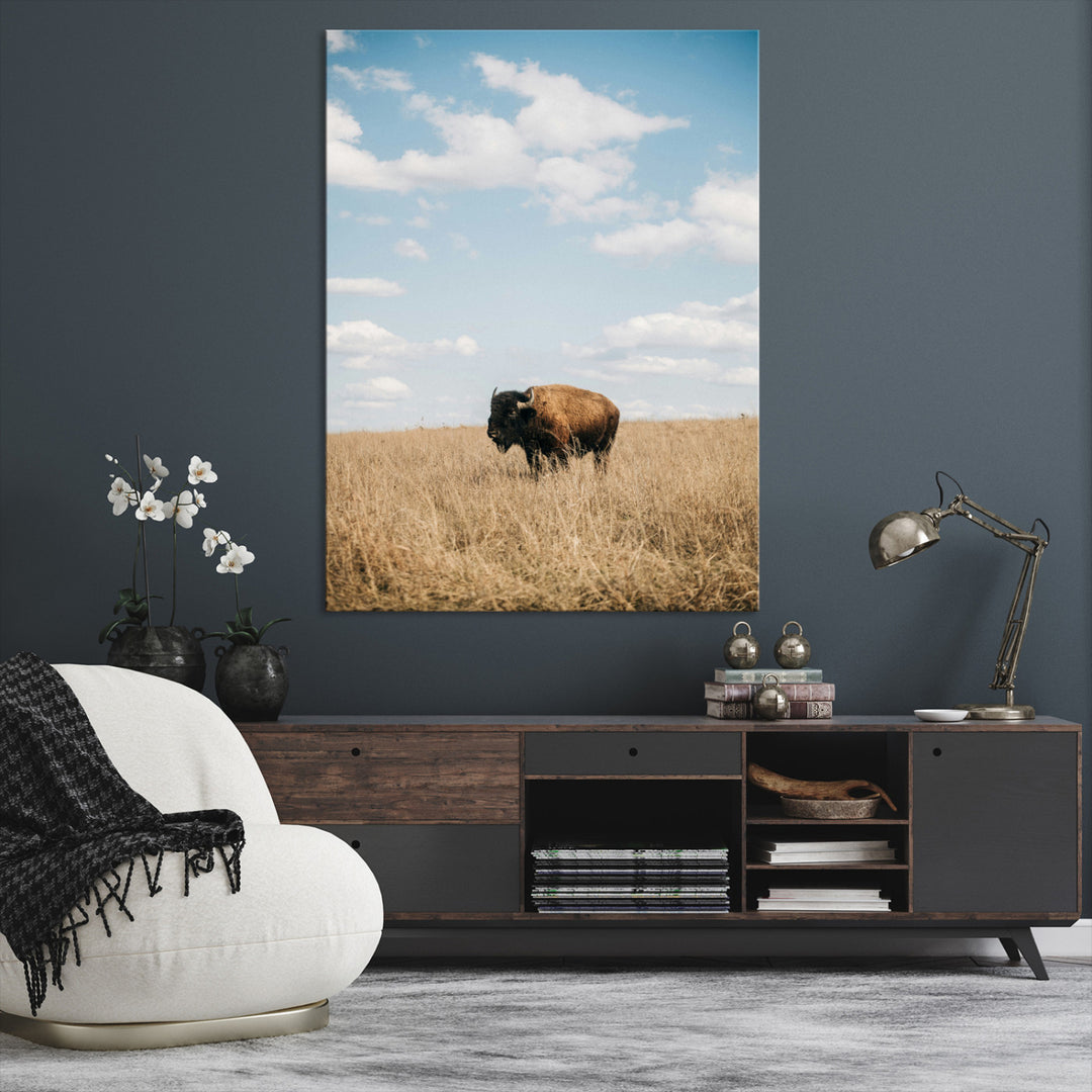 Bison Photography Wall Art Canvas Print: Framed Western Landscape Art