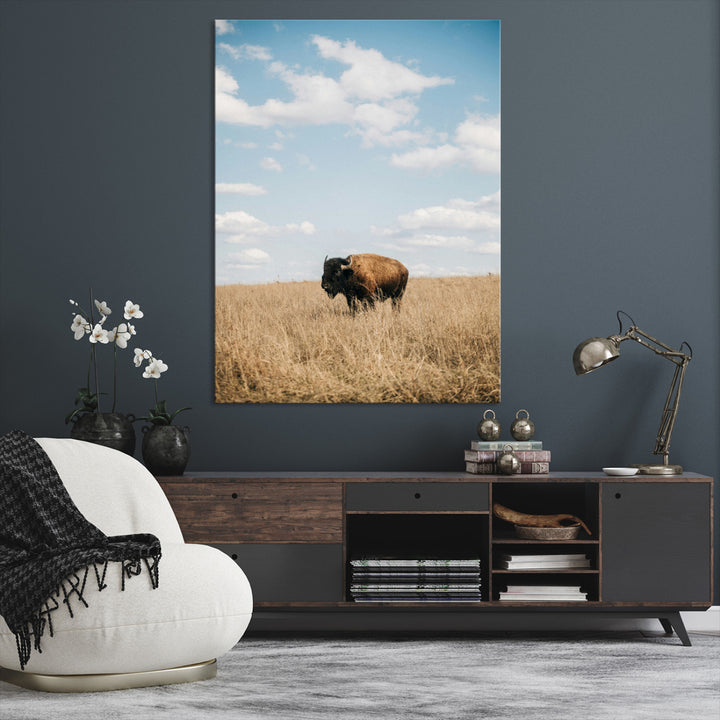 Bison Photography Wall Art Canvas Print: Framed Western Landscape Art