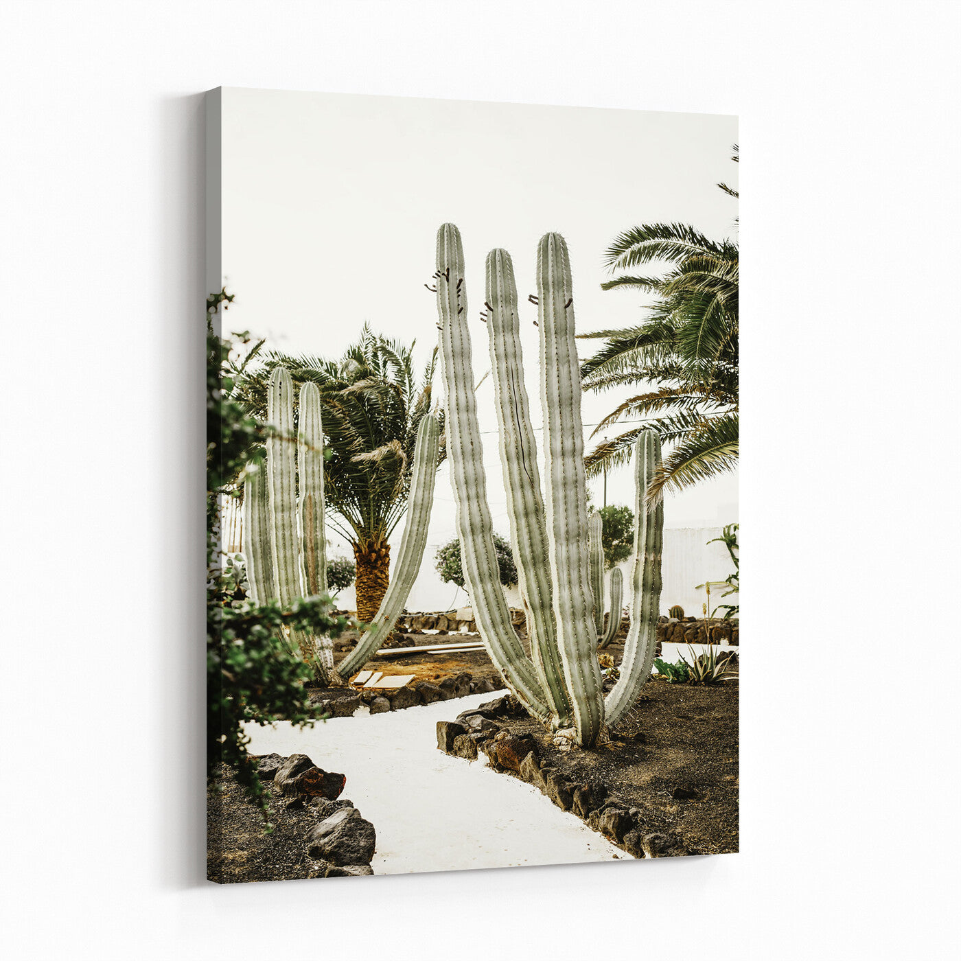 10167832-MGV-CV-24X36 - Cactus Garden Lanzarote Spain Wall Art Canvas Print - Cesar Manrique Desert Oasis Painting