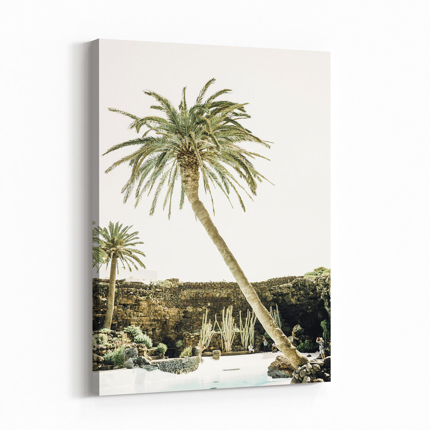 34739415-MGV-CV-24X36 - Jameos del Agua Lanzarote Spain Wall Art Canvas Print - Volcanic Oasis Palm Tree Pool