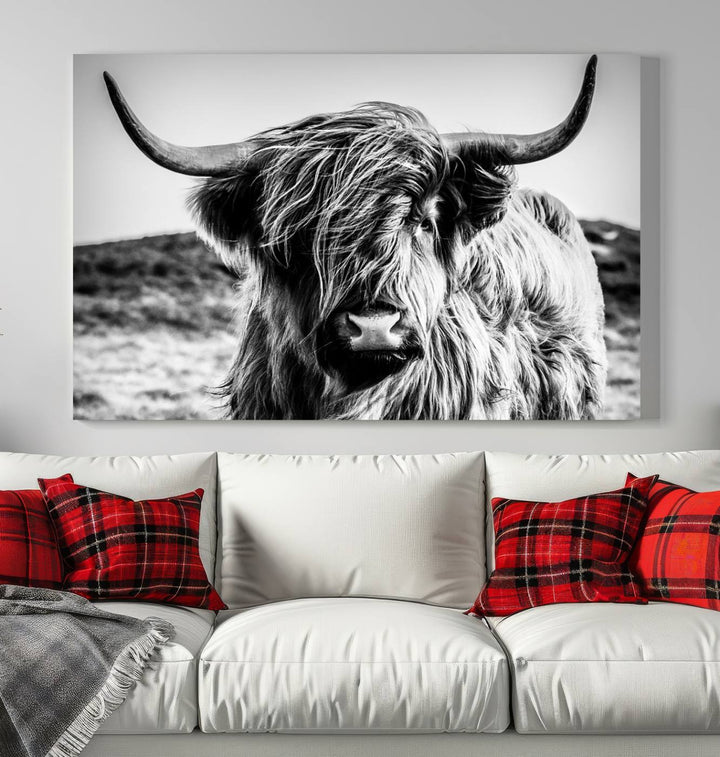 Scottish Cow Black and White Wall Canvas Art Print Farm House