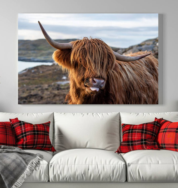 Cuddly Highland Cow Canvas Photo Wall Art Print Highlands Art Cute Animal Wall Art