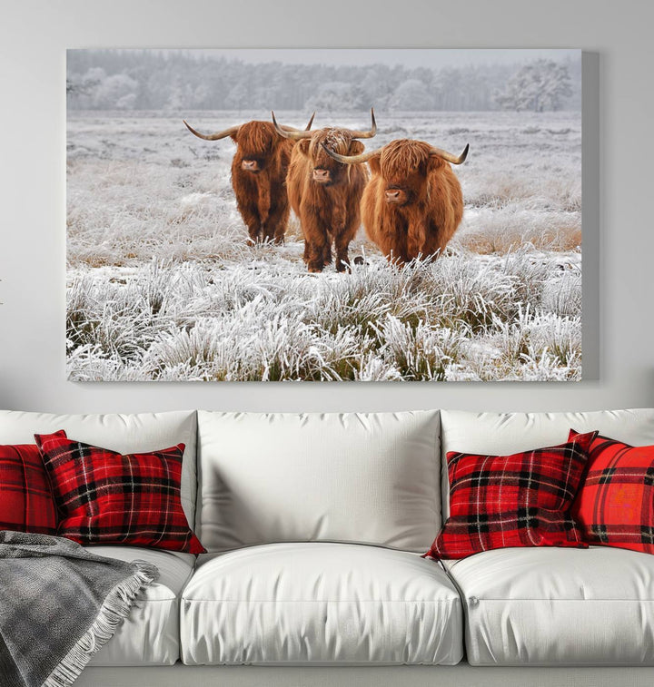 Vaches des Highlands dans la neige Art sur toile Highland Cattle Picture Art Farmhouse Art