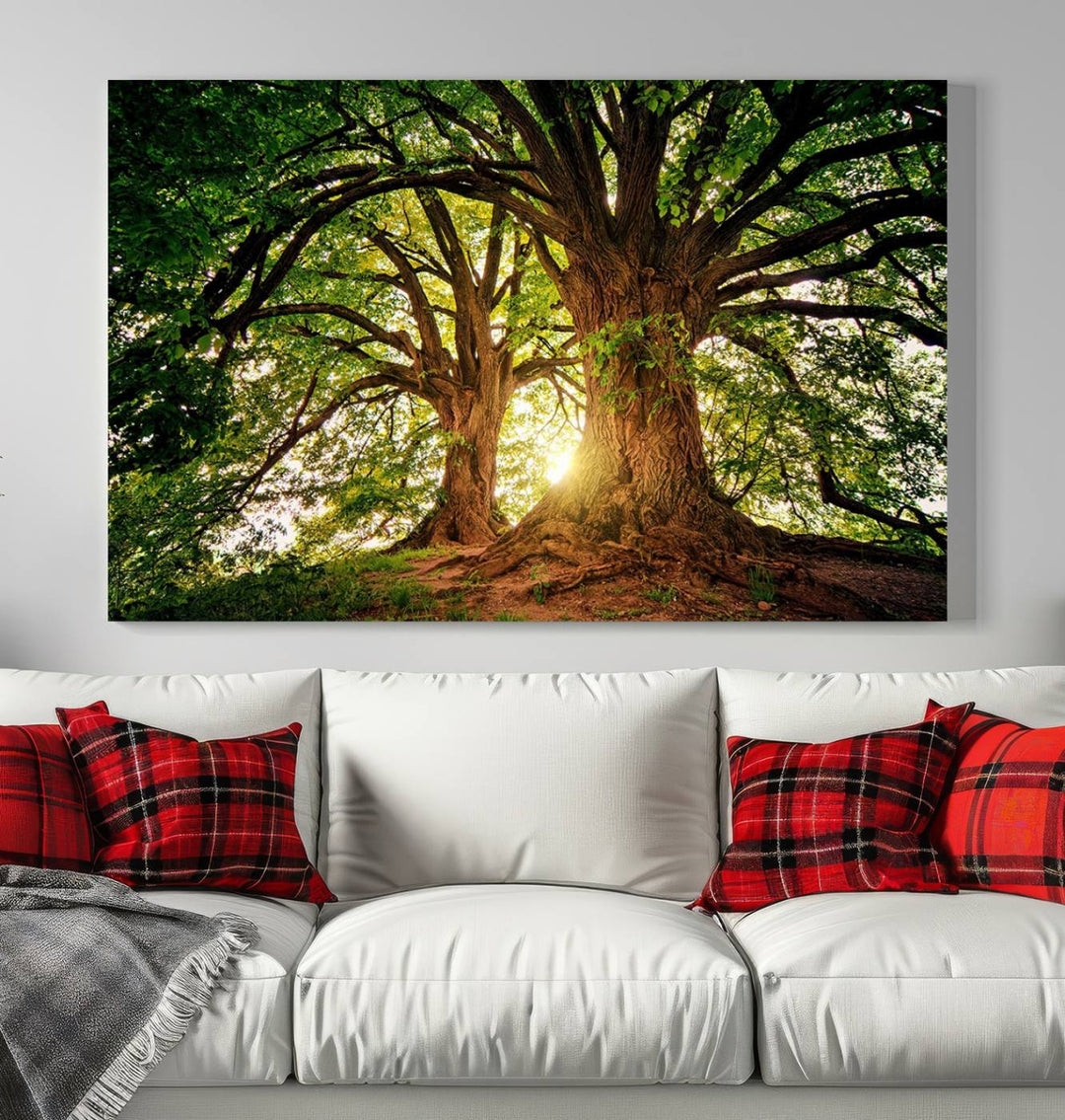 Majestic Ancient Tree Wall Art, Nature-Inspired Canvas Print, Woodland Art, Tree of Life Artwork, Sunlit Forest, Giclee Nature Print