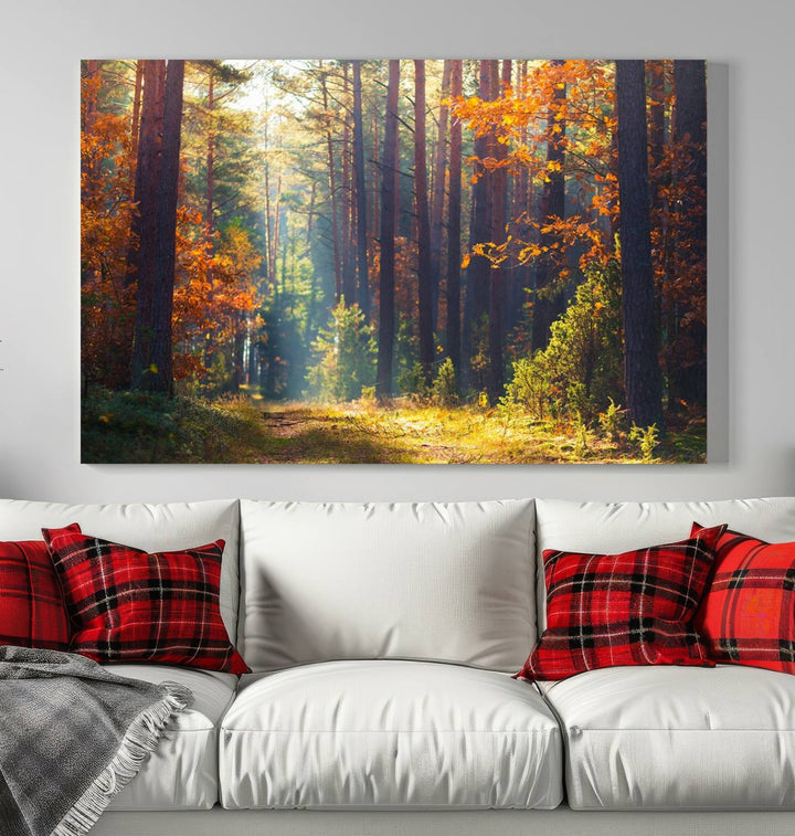 Forêt Sunshine Wall Art Impression sur toile