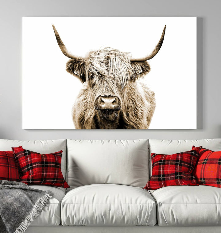 Scottish Highland Cow Cattle Art Print Farmhouse Wall Art Canvas Print