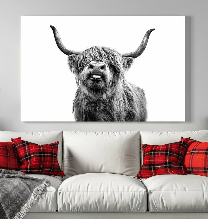 Fanny Scottish Highland Cow Cattle Art Print Farmhouse Wall Art Canvas Print