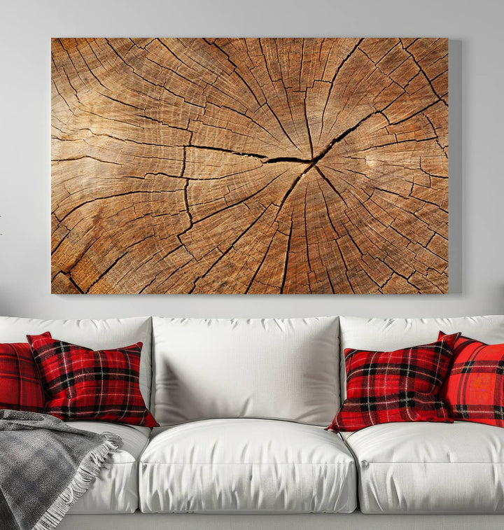 The stunning multi-panel wall art piece, the Tree Ring Canvas Art, features intricate rustic wood grain textures. This giclee triptych hangs elegantly on the wall.