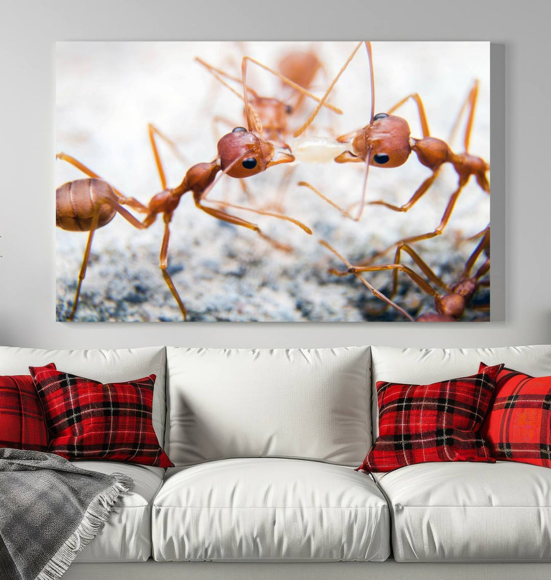 The "Ants Wall Art Canvas Print" features two ants facing each other, beautifully presented across three panels on museum-quality canvas with a UV-protective coating.