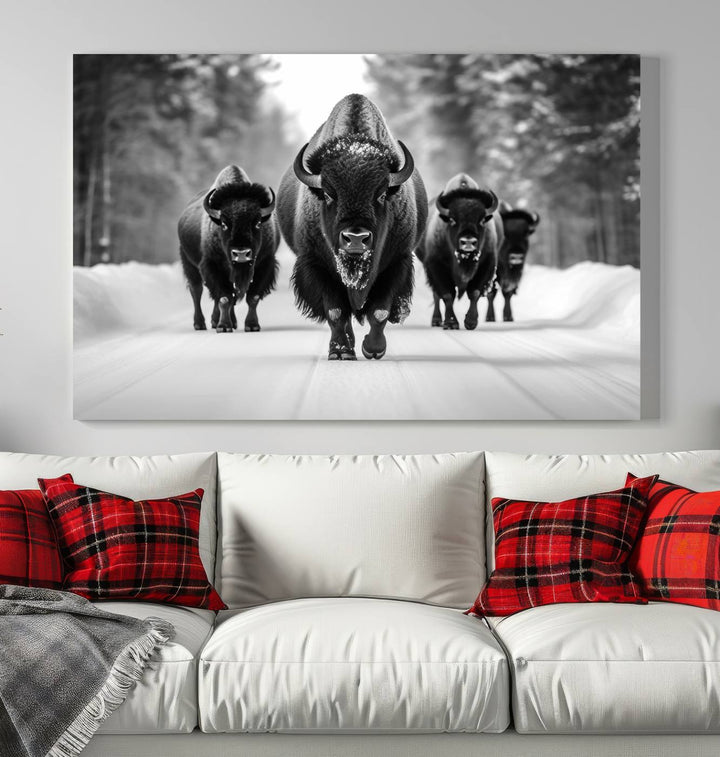 Buffalo Wall Art Canvas Print, Bison Wall Art Canvas Print