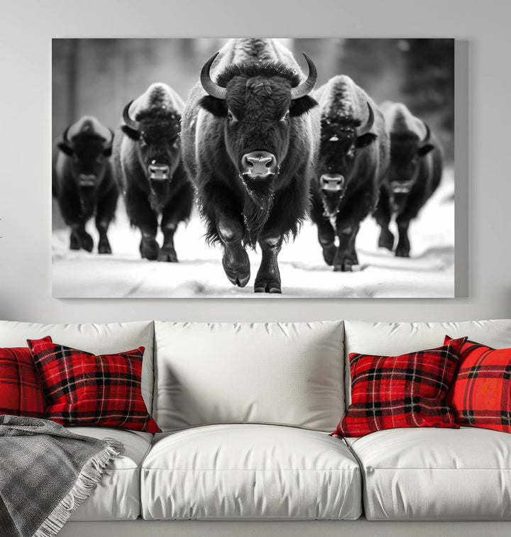 A modern living room features a striking black-and-white American Bison Art | Buffalo Herd Wall Art Canvas Print on the wall.