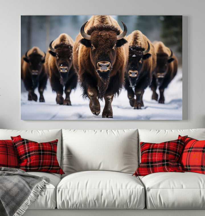 Buffalo Wall Art Canvas Print, American Bison Herd Wall Art Canvas Print