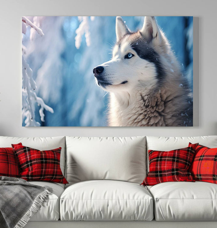 A captivating Winter Siberian Husky Wolf Wall Art Canvas Print hangs prominently.