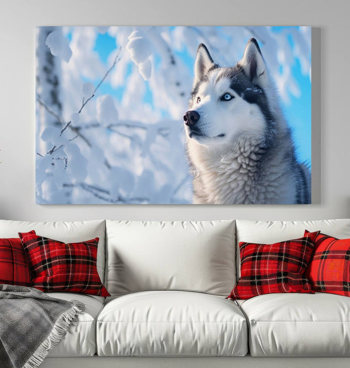 The Siberian Husky Art Canvas elegantly enhances the room.