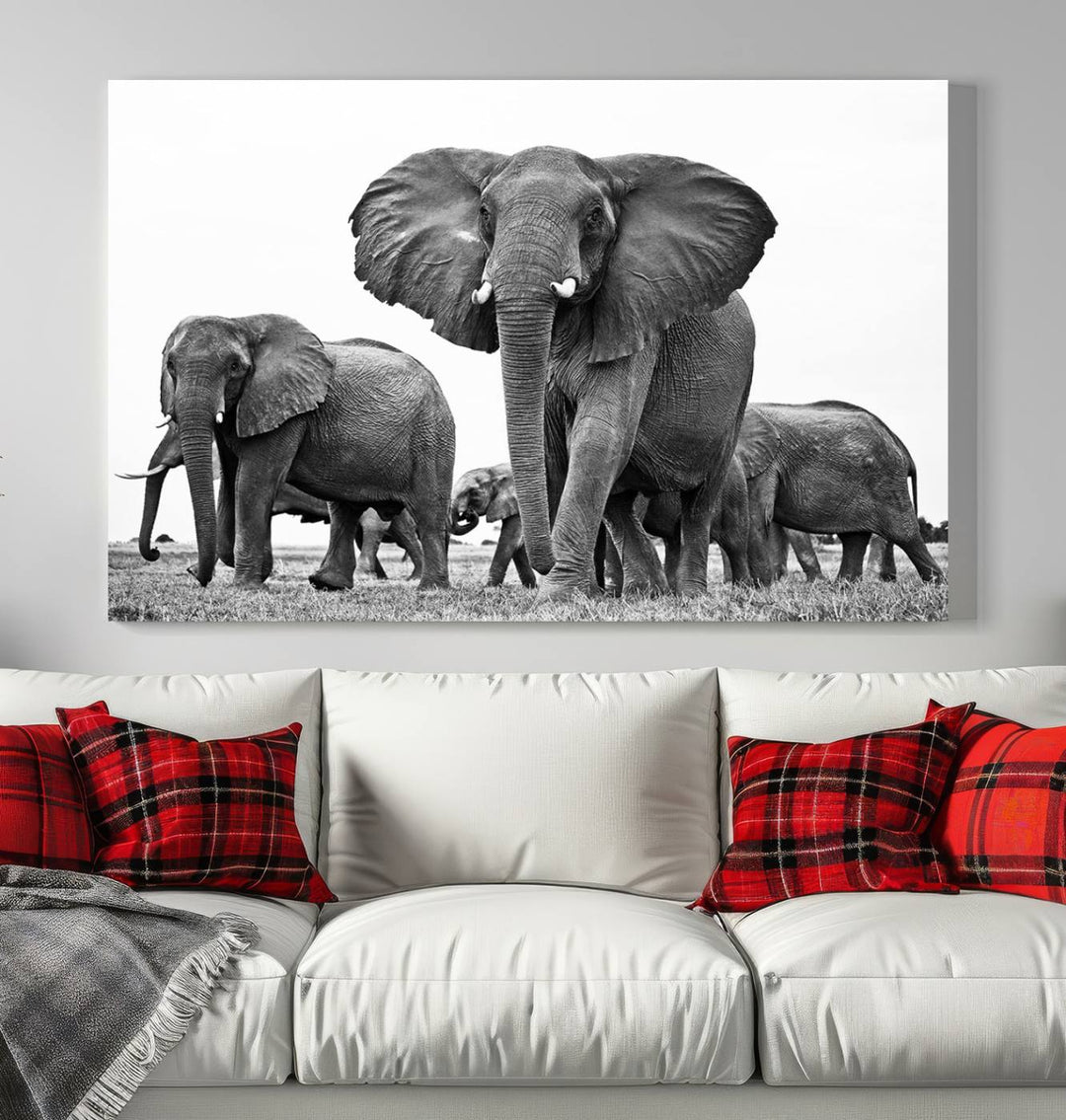 The Black White Elephant Family Wall Art Canvas Print features a triptych of elephants walking in the wild, crafted as gallery-quality wall art on premium canvas.