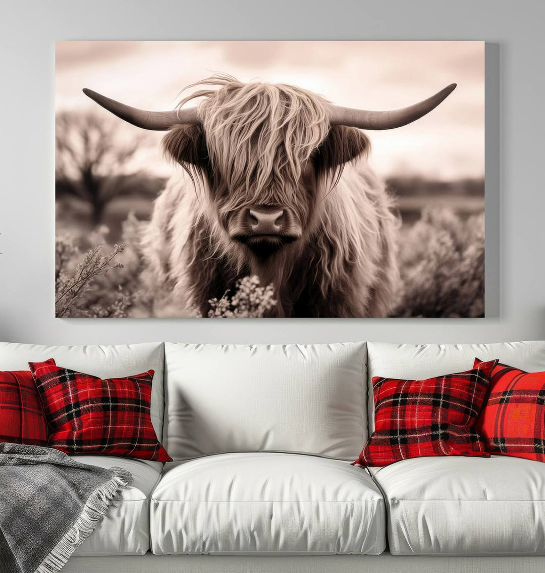 Scottish Cow Longhorn Wall Art Canvas Print.