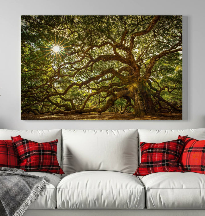 Ancient Angel Oak Tree Sunburst Wall Art - Nature-Inspired Triptych Canvas Print, Framed, Ready to Hang