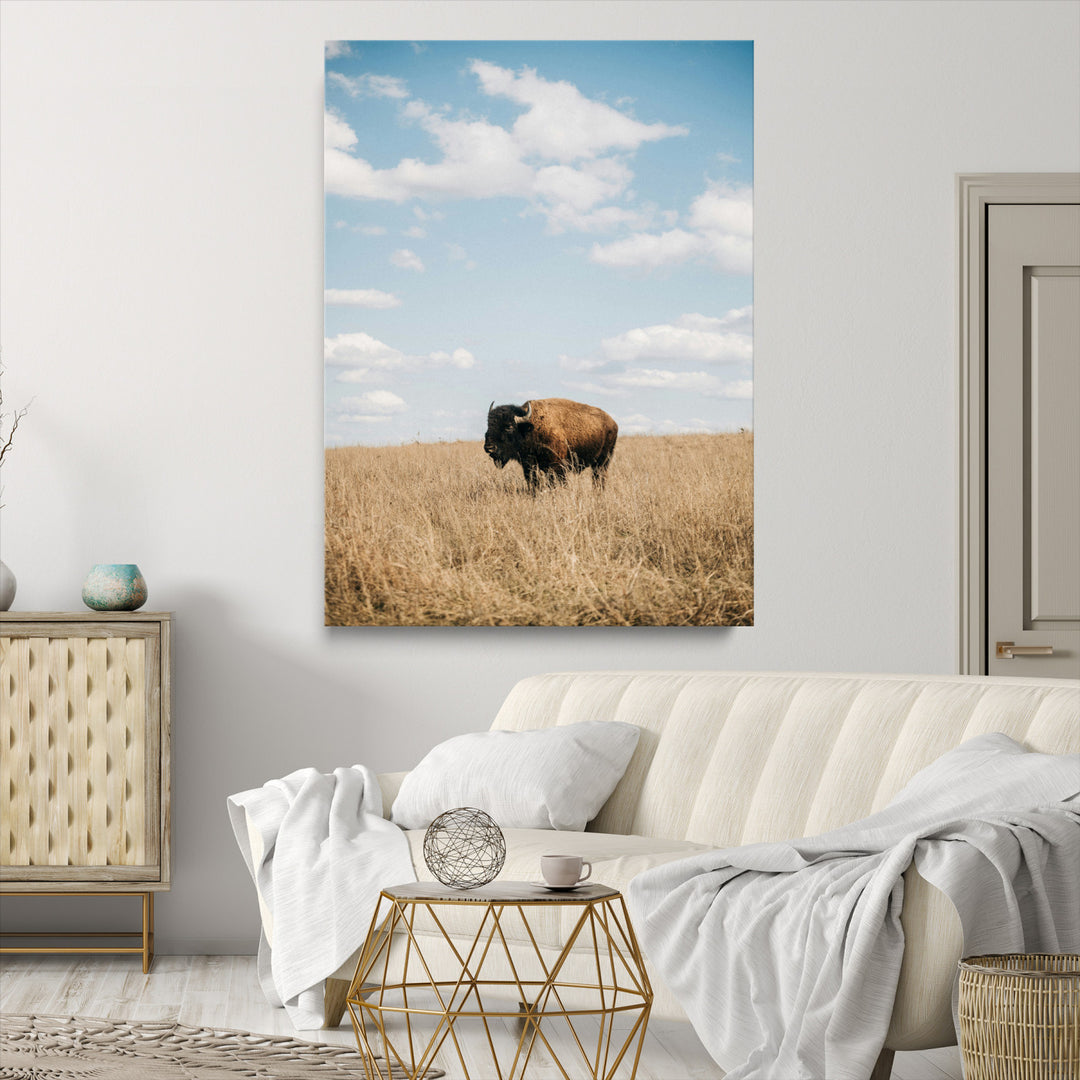 Bison Photography Wall Art Canvas Print: Framed Western Landscape Art