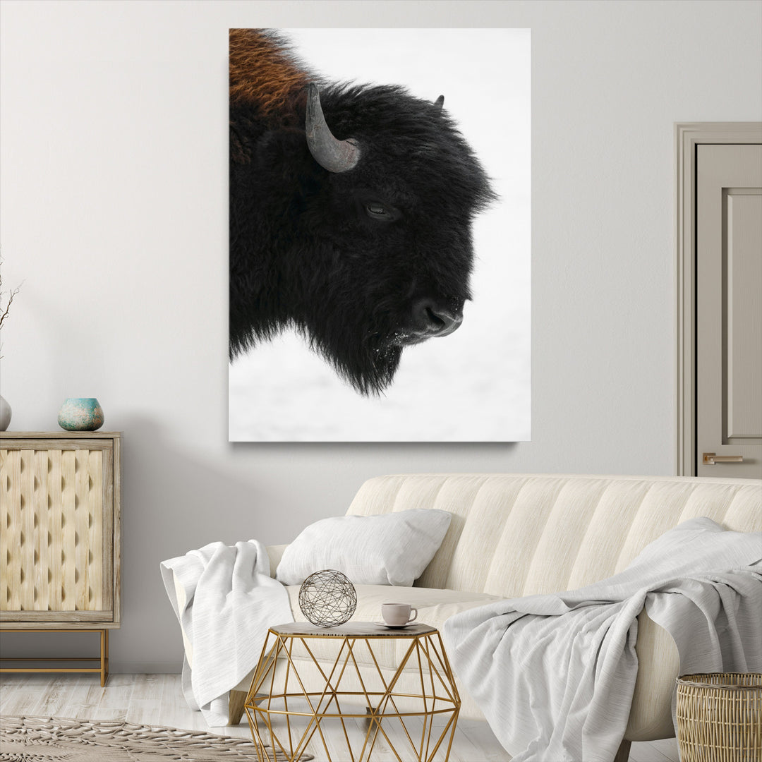 Western Rustic Wall Art Canvas Print, Framed Buffalo Photography Art Picture Print, Black and White Wildlife Perfect Modern Ranch Decor
