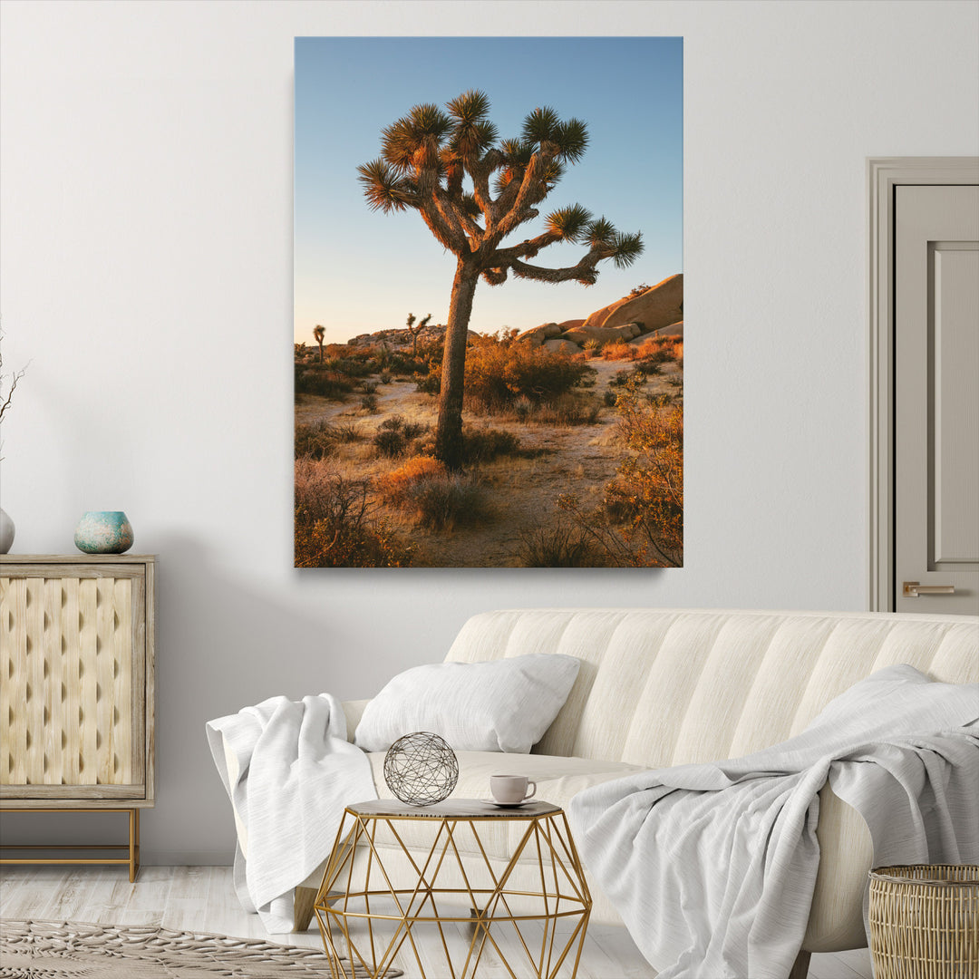 Joshua Tree Artwork Canvas Print, Desert Sunset Print, Framed Golden Hour Light Art Print, Large Southwestern Landscape Printing, Framed