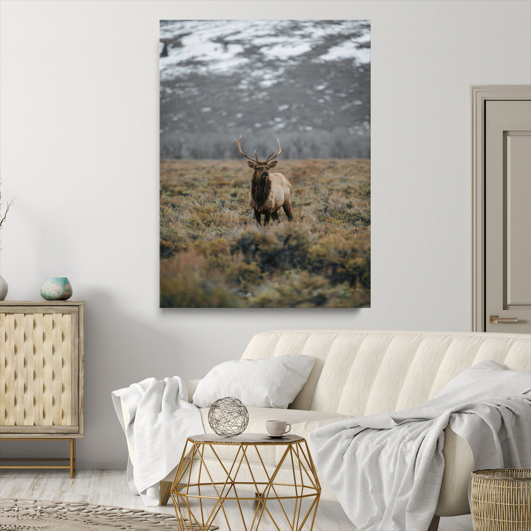 Wild Elk Wall Art Canvas Print, Mountain Wilderness Print, Framed Majestic Animal Art Print, Large Rustic Wildlife Wall Art Printing