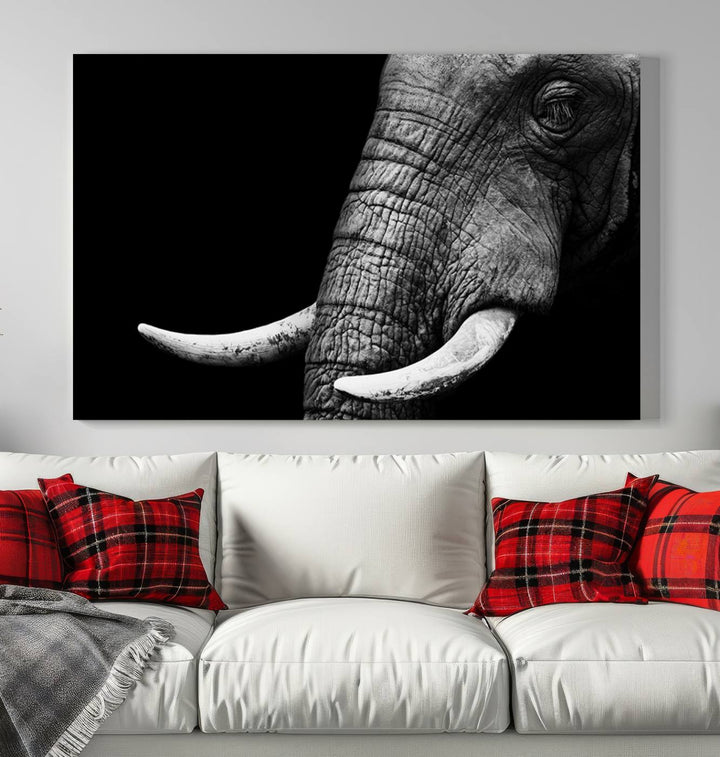 Wall Art Animal Canvas Print Close Taken Elephant with Big Ivories