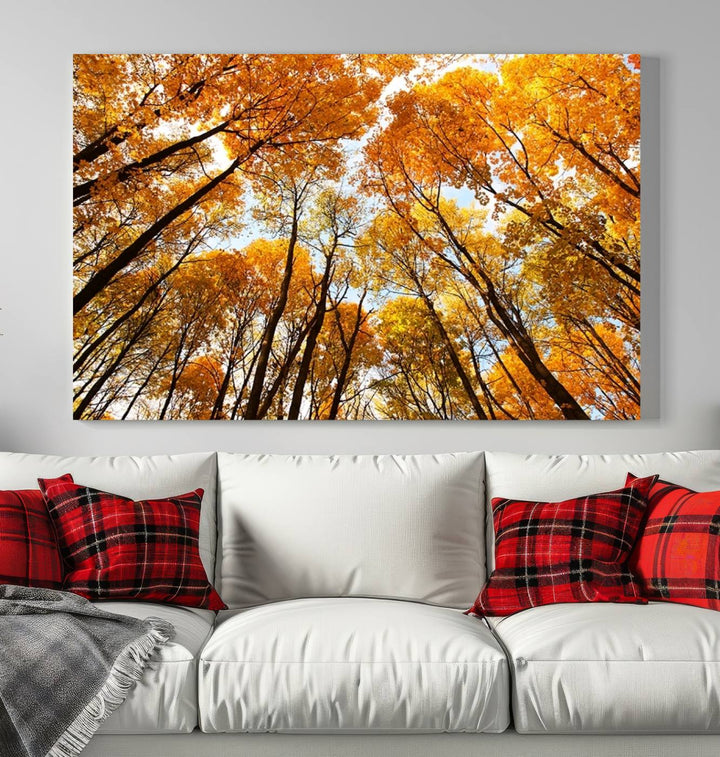 Wall Art Yellow Forest and Sky in Autumn Canvas Print