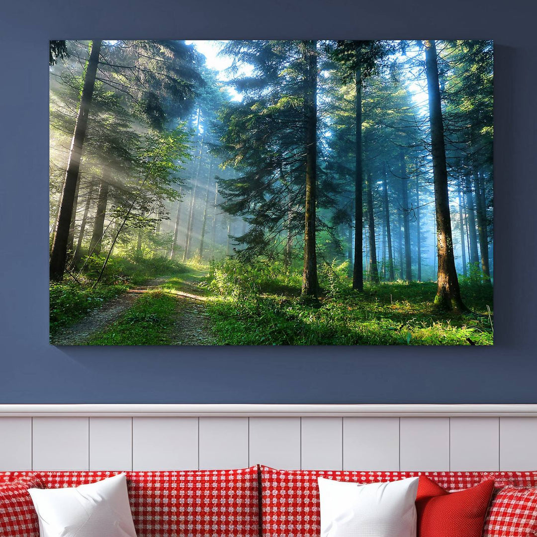 Forest Sun Shine Wall Art Canvas Print