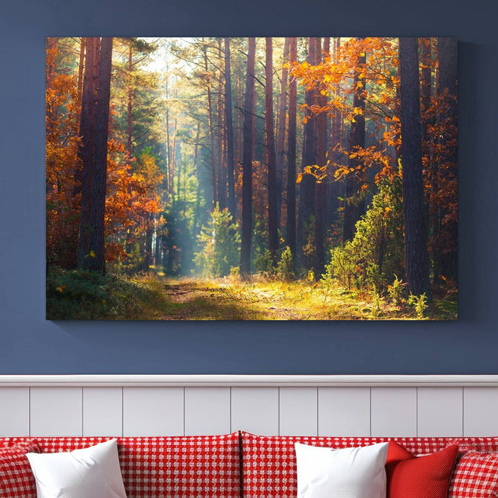 Forêt Sunshine Wall Art Impression sur toile