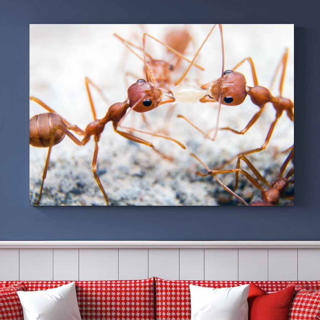 The "Ants Wall Art Canvas Print" features two ants facing each other, beautifully presented across three panels on museum-quality canvas with a UV-protective coating.