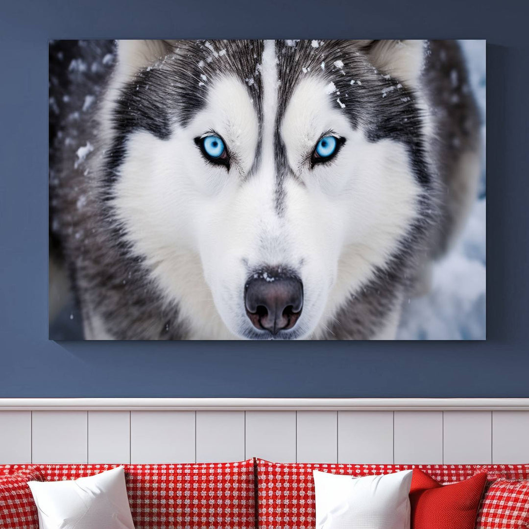 A large framed Winter Siberian Husky Wolf Wall Art Canvas Print, an exquisite piece of animal portrait decor, hangs prominently on the wall.