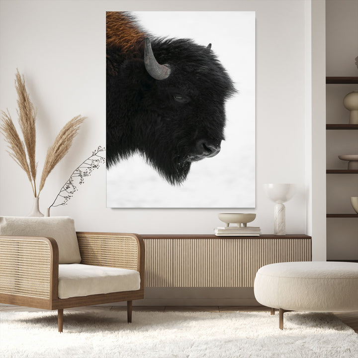 Western Rustic Wall Art Canvas Print, Framed Buffalo Photography Art Picture Print, Black and White Wildlife Perfect Modern Ranch Decor