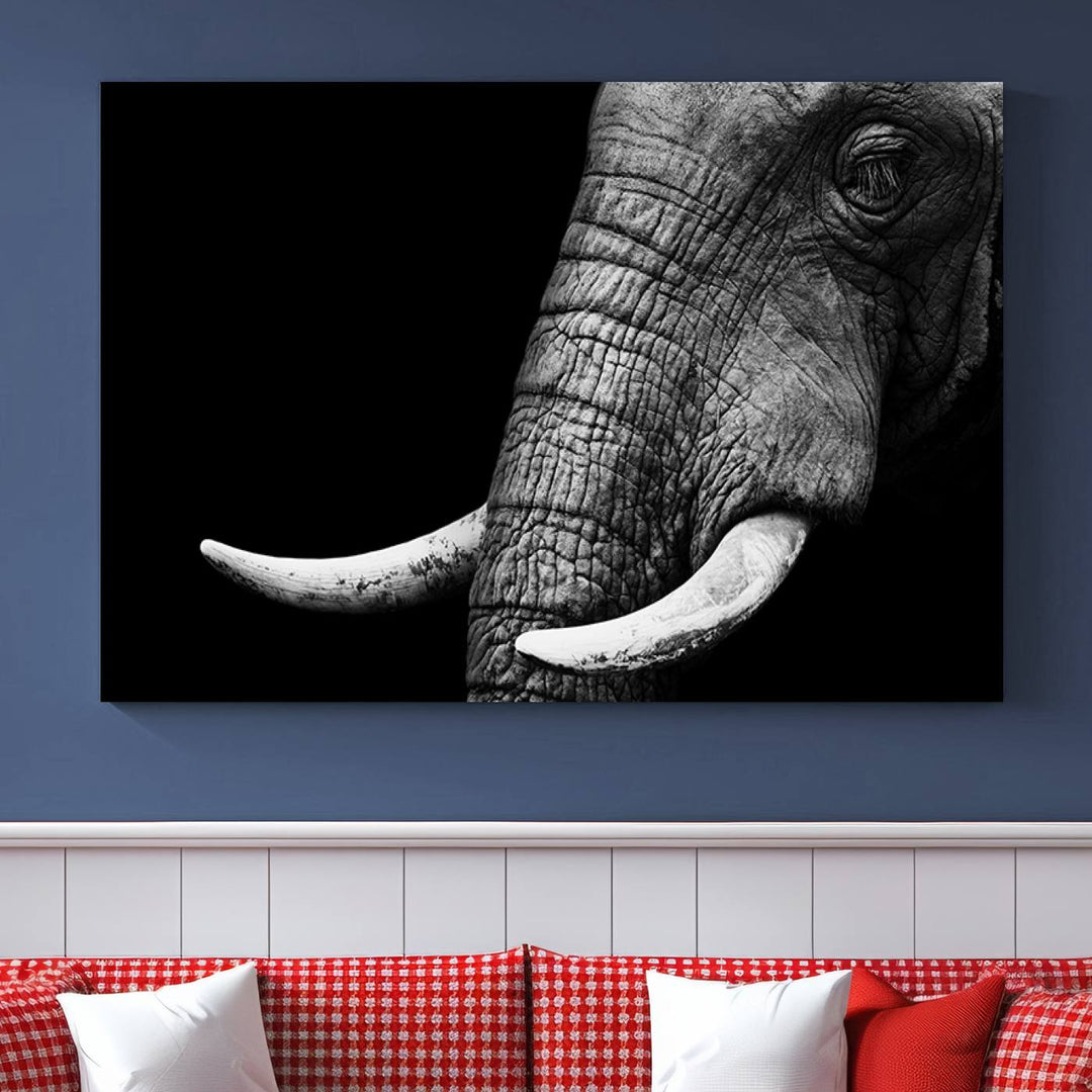 Wall Art Animal Canvas Print Close Taken Elephant with Big Ivories