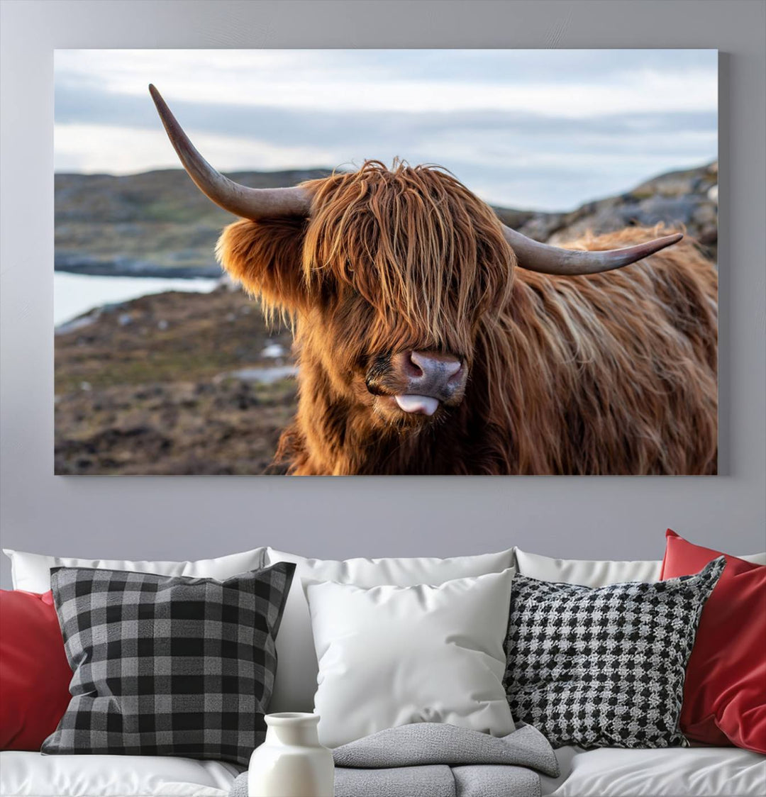 Cuddly Highland Cow Canvas Photo Wall Art Print Highlands Art Cute Animal Wall Art