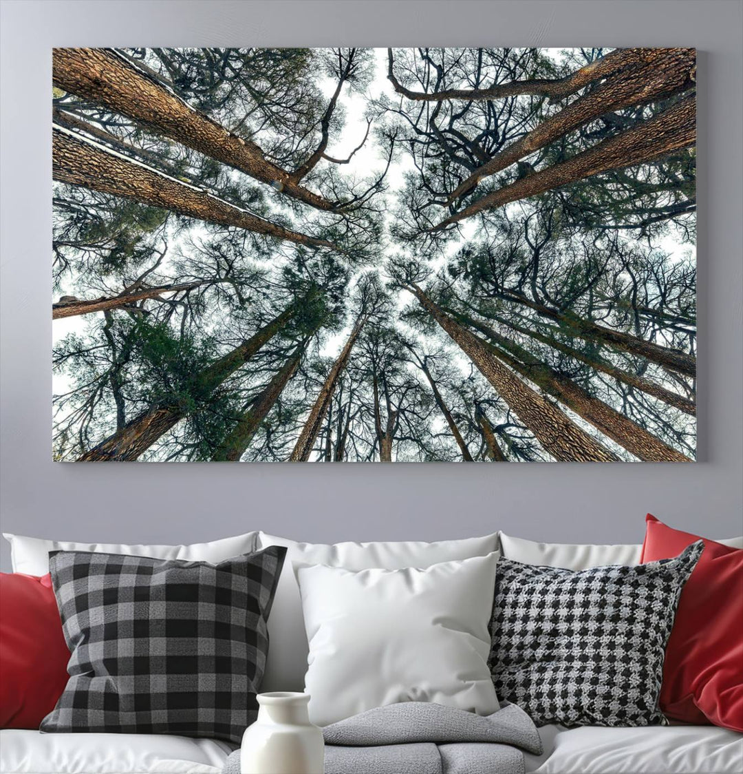 Impression sur toile d’art mural d’arbres forestiers