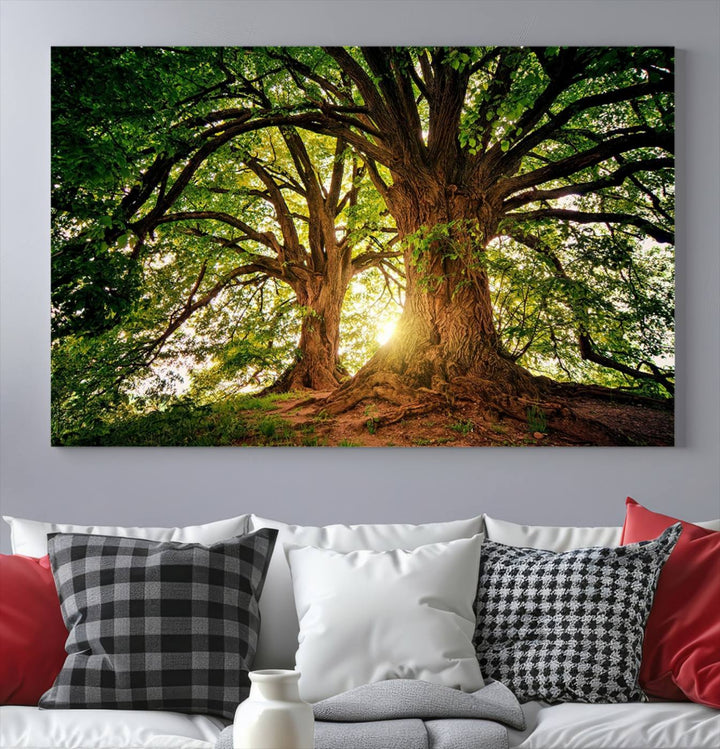 Majestic Ancient Tree Wall Art, Nature-Inspired Canvas Print, Woodland Art, Tree of Life Artwork, Sunlit Forest, Giclee Nature Print