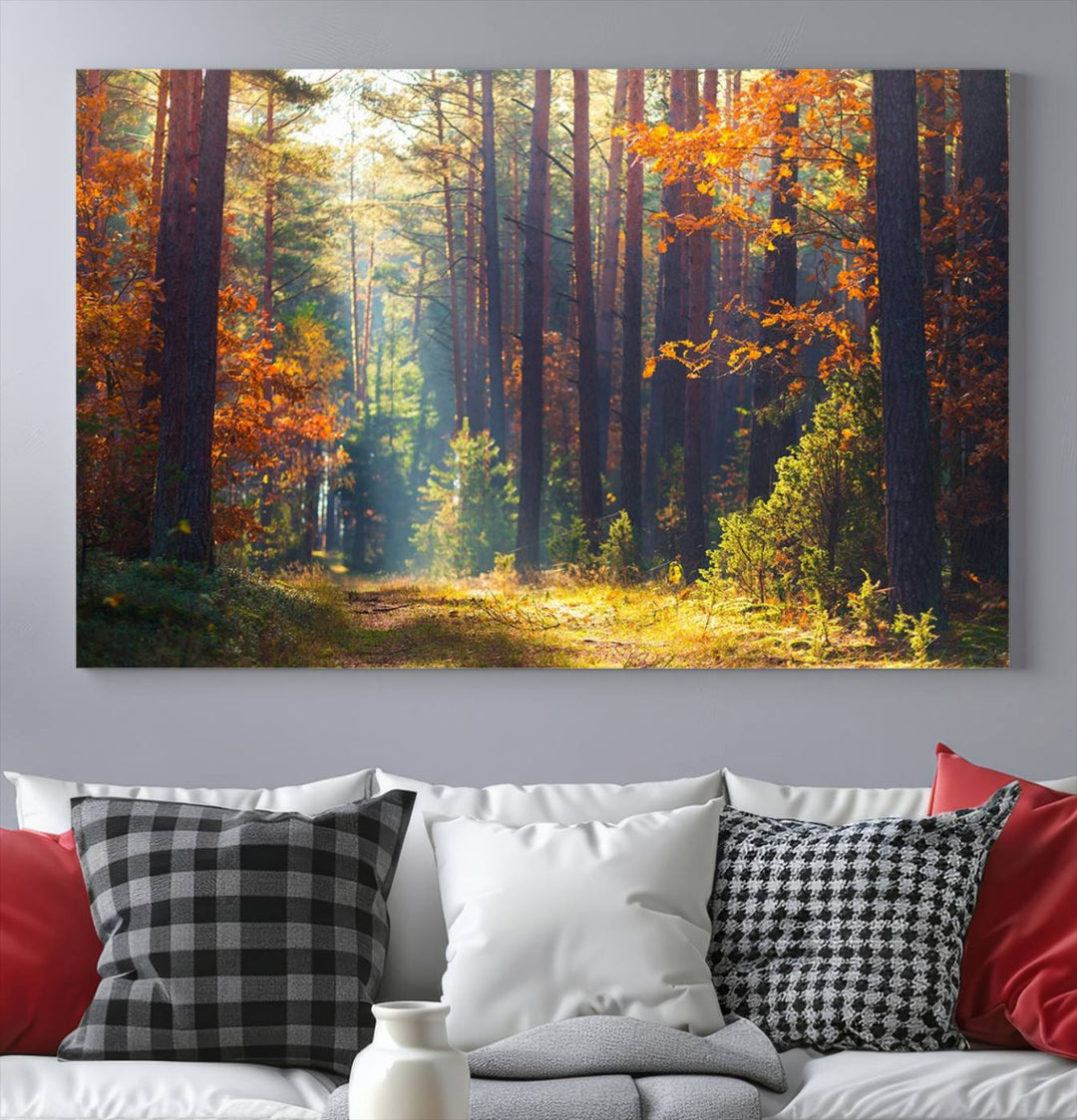 Forêt Sunshine Wall Art Impression sur toile