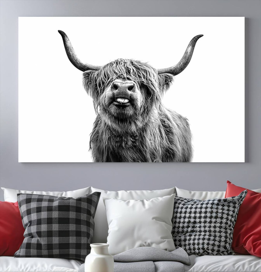 Fanny Scottish Highland Cow Cattle Art Print Farmhouse Wall Art Canvas Print