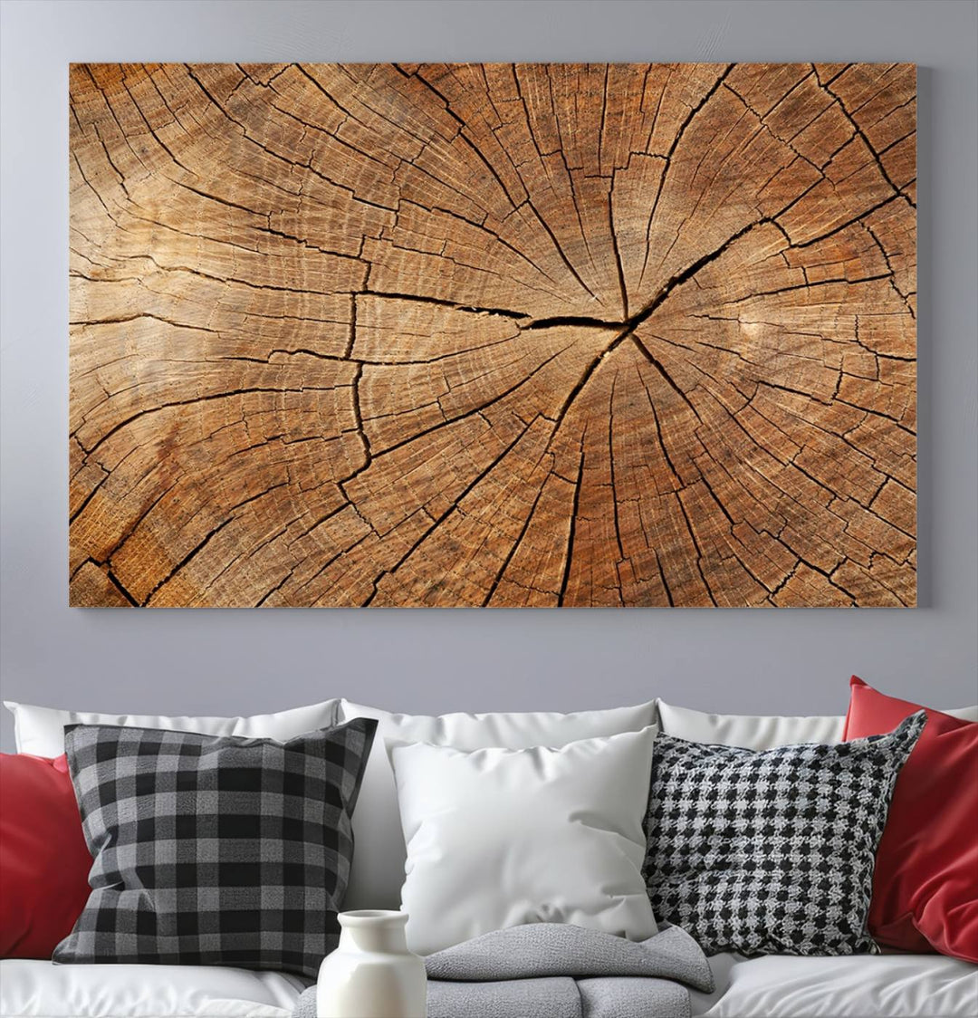 The stunning multi-panel wall art piece, the Tree Ring Canvas Art, features intricate rustic wood grain textures. This giclee triptych hangs elegantly on the wall.