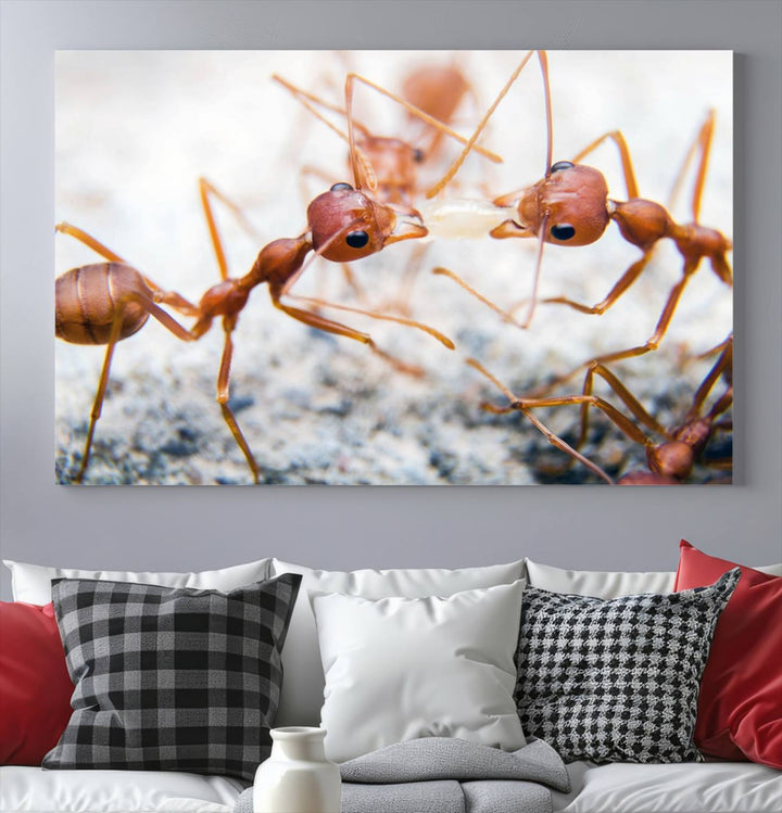 The "Ants Wall Art Canvas Print" features two ants facing each other, beautifully presented across three panels on museum-quality canvas with a UV-protective coating.